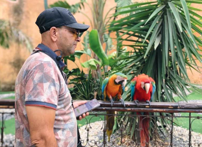 Le guide touristique propriétaire des perroquets de Chefchaouen. Le guide touristique propriétaire des perroquets de Chefchaouen.