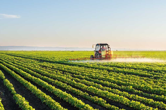 Les récentes précipitations ravivent l’espoir des agriculteurs du bassin du Loukkos Les récentes précipitations ravivent l’espoir des agriculteurs du bassin du Loukkos