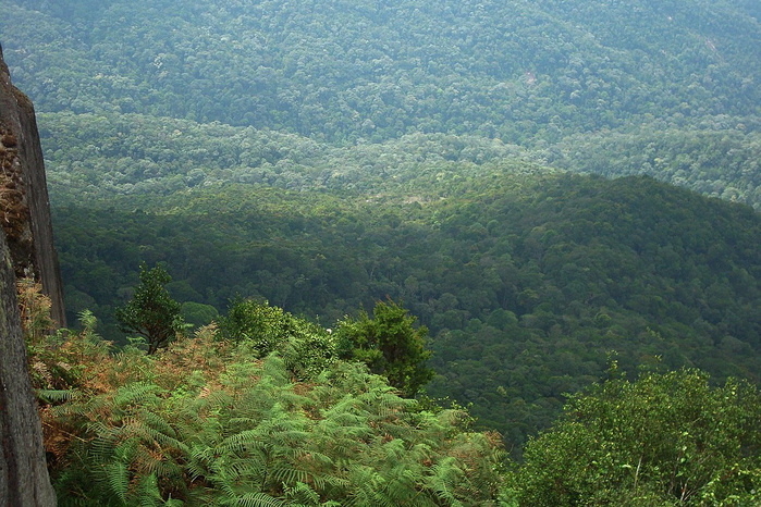 L’ANEF dévoile le Plan directeur d'investissement relatif à la stratégie "Forêts du Maroc 2020-2030" L’ANEF dévoile le Plan directeur d'investissement relatif à la stratégie "Forêts du Maroc 2020-2030"