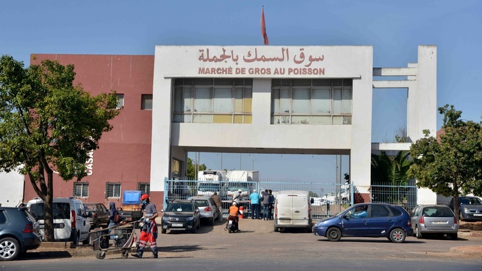 Casablanca : 720 tonnes de poisson disponibles dans le marché de gros au premier jour de Ramadan Casablanca : 720 tonnes de poisson disponibles dans le marché de gros au premier jour de Ramadan