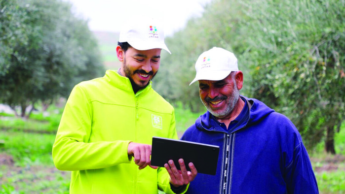 Al Moutmir : Plus de 987 plateformes de démonstration d’olivier en 2023-2024 au profit de plus de 640 agriculteurs Al Moutmir : Plus de 987 plateformes de démonstration d’olivier en 2023-2024 au profit de plus de 640 agriculteurs