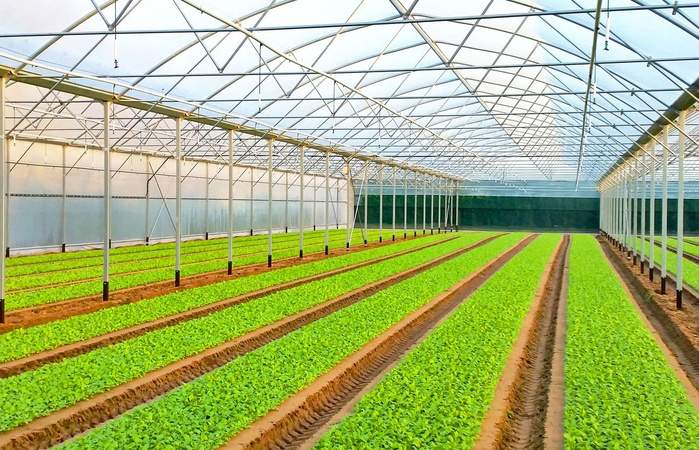 Agriculture : Le Maroc, nouvel acteur incontournable du marché mondial des serres Agriculture : Le Maroc, nouvel acteur incontournable du marché mondial des serres