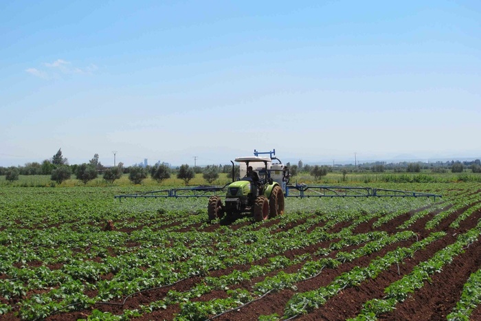 Des pluies bienfaisantes ravivent l’espoir des agriculteurs. Des pluies bienfaisantes ravivent l’espoir des agriculteurs.