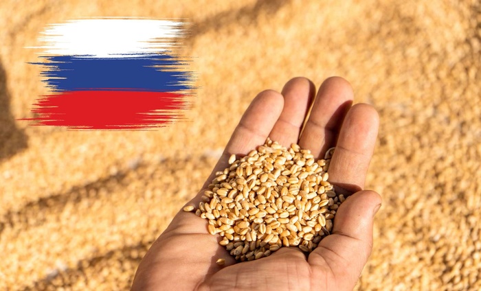 La Russie suspend l'exportation d'un lot de blé infesté vers le Maroc La Russie suspend l'exportation d'un lot de blé infesté vers le Maroc