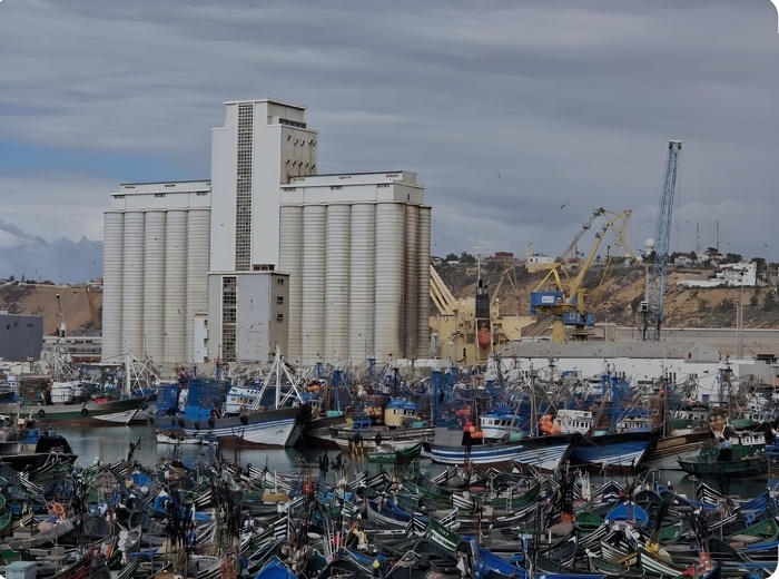 Focus sur les défis secteur de la pêche au port de Safi Focus sur les défis secteur de la pêche au port de Safi