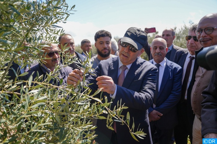 El Bouari à Meknès, El Hajeb et Ifrane pour s’enquérir de l’avancement de la campagne agricole et de l’impact des récentes précipitations El Bouari à Meknès, El Hajeb et Ifrane pour s’enquérir de l’avancement de la campagne agricole et de l’impact des récentes précipitations