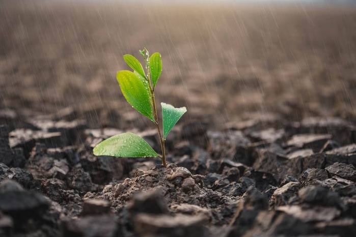 Après la pluie le soulagement... Après la pluie le soulagement...