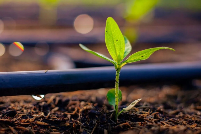 OCP Nutricrops prévoit d'augmenter sa capacité de production d'engrais de 9 MT d'ici 2028 OCP Nutricrops prévoit d'augmenter sa capacité de production d'engrais de 9 MT d'ici 2028