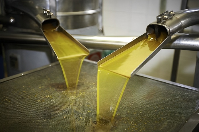 Huile d’olive : Les récentes pluies ont-elles sauvé la campagne oléicole ? [INTÉGRAL]