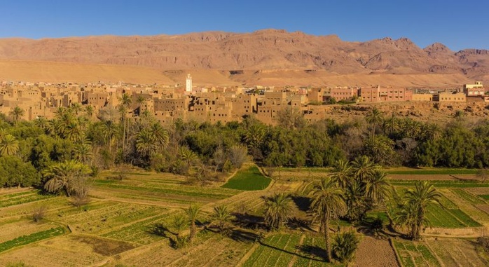 La FNSA et le CETIM appellent à la protéger le droit de grève dans le milieu agricole La FNSA et le CETIM appellent à la protéger le droit de grève dans le milieu agricole