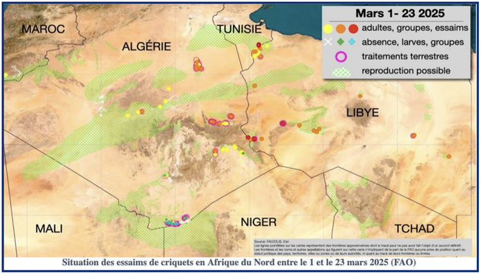Situation des essaims de criquets en Afrique du Nord entre le 1 et le 23 mars 2025 (FAO) Situation des essaims de criquets en Afrique du Nord entre le 1 et le 23 mars 2025 (FAO)