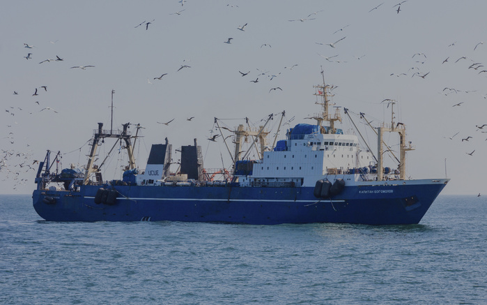 Moscou valide un accord avec le Maroc pour l’exploitation de 90 000 tonnes de poissons dans la ZEE incluant le Sahara Moscou valide un accord avec le Maroc pour l’exploitation de 90 000 tonnes de poissons dans la ZEE incluant le Sahara