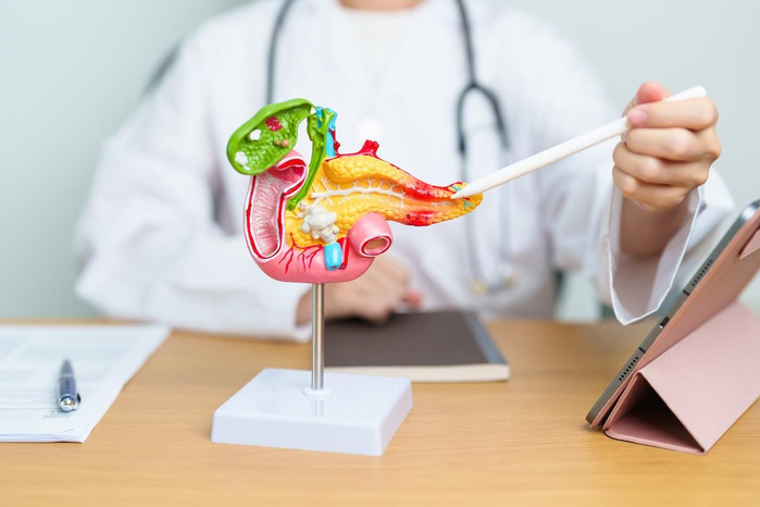 Espagne : des chercheurs identifient un facteur clé de l’agressivité du cancer du pancréas Espagne : des chercheurs identifient un facteur clé de l’agressivité du cancer du pancréas