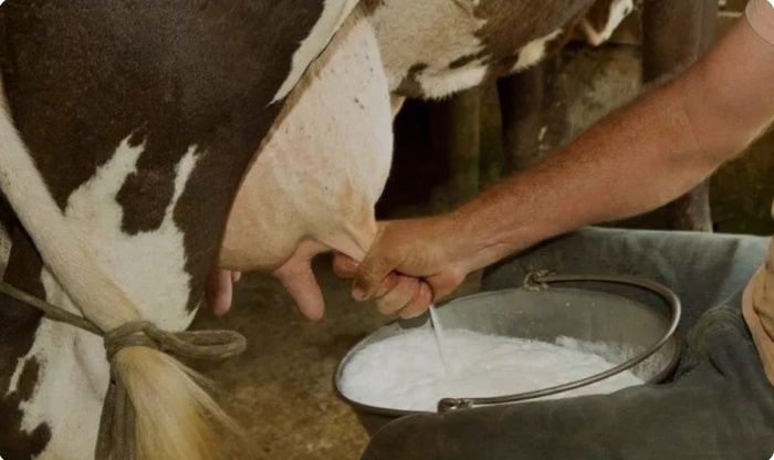 Sécurité Laitière : Mohamed Raita, Directeur Général de la Fédération Interprofessionnelle de la Filière Laitière « Maroc Lait », rassure ! Sécurité Laitière : Mohamed Raita, Directeur Général de la Fédération Interprofessionnelle de la Filière Laitière « Maroc Lait », rassure !