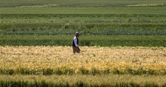 Stress hydrique, Sur-export et Souveraineté alimentaire : L’éprouvant triptyque de notre agriculture Stress hydrique, Sur-export et Souveraineté alimentaire : L’éprouvant triptyque de notre agriculture