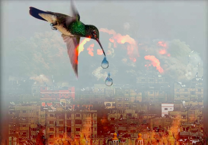 Brave colibri! Brave colibri!