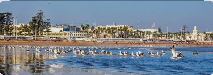 « Le Figaro » charmé par El Jadida, joyau préservé entre océan et histoire « Le Figaro » charmé par El Jadida, joyau préservé entre océan et histoire