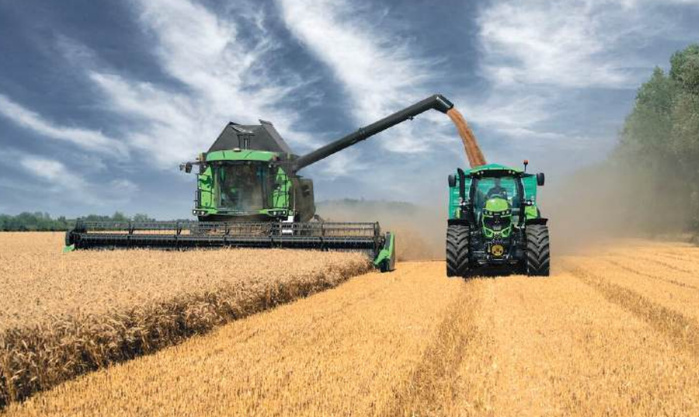 BMI-Fitch Solutions : Vents favorables pour le blé marocain à court terme BMI-Fitch Solutions : Vents favorables pour le blé marocain à court terme