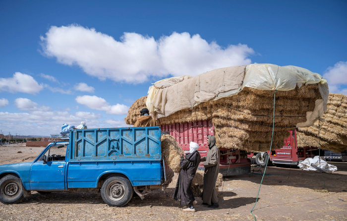 1 milliard de dirhams a été alloué pour soutenir l’emploi en milieu rural. 1 milliard de dirhams a été alloué pour soutenir l’emploi en milieu rural.