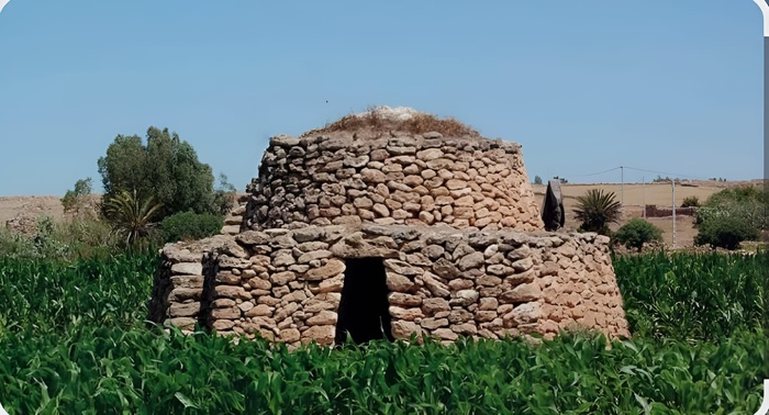 Reportage : Les Tazotas des Doukkala, un patrimoine en sursis, un trésor à sauver ! Reportage : Les Tazotas des Doukkala, un patrimoine en sursis, un trésor à sauver !