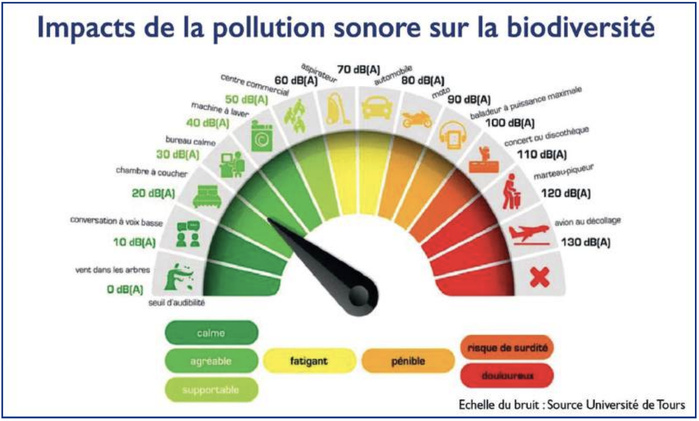 Pollution sonore : Ce vice caché et illégal qui dévalue l’immobilier au Maroc  [INTÉGRAL]