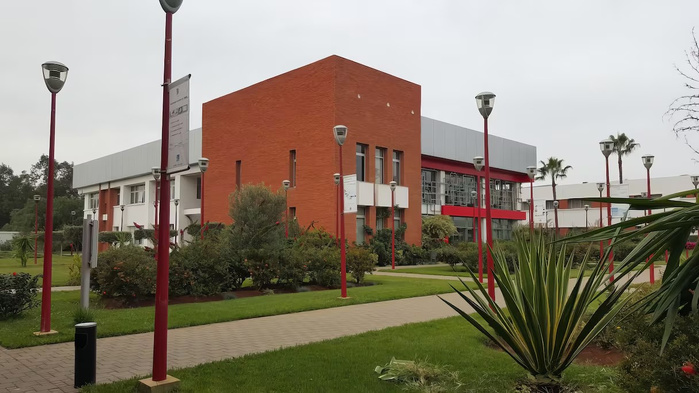 OMPIC : 19.565 entreprises créées à fin février 2025 OMPIC : 19.565 entreprises créées à fin février 2025