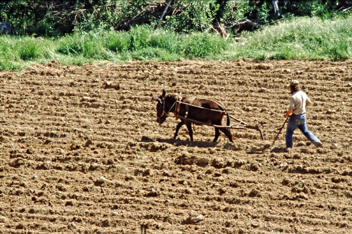 Agriculture familiale : Les pistes du CESE pour un renouveau durable [INTÉGRAL]