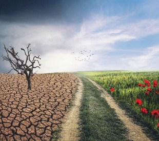 Agriculture familiale : Les pistes du CESE pour un renouveau durable [INTÉGRAL]