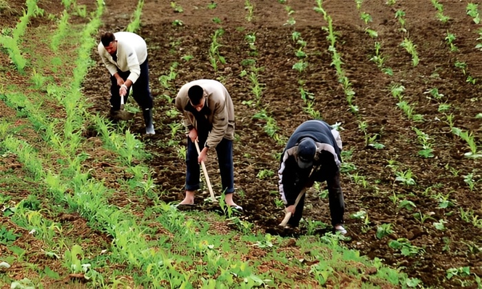Agriculture familiale : Les pistes du CESE pour un renouveau durable [INTÉGRAL]