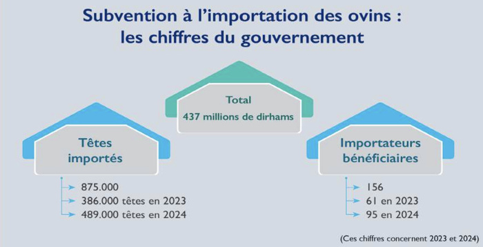 Enquête sur l’importation d’ovins : Les coulisses de la bataille parlementaire [INTÉGRAL]