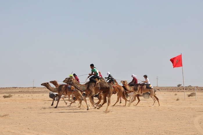 Smara commémore les 20 ans de l’Initiative Nationale pour le Développement Humain : Projets, chiffres et transformations Smara commémore les 20 ans de l’Initiative Nationale pour le Développement Humain : Projets, chiffres et transformations