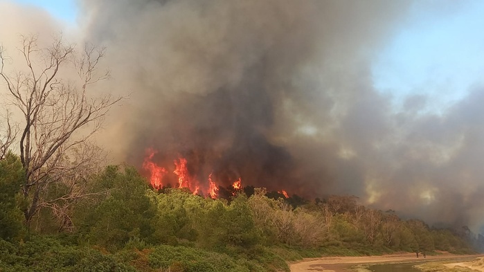 Incendie dans la forêt de Houara: le suspect déféré devant la Justice Incendie dans la forêt de Houara: le suspect déféré devant la Justice