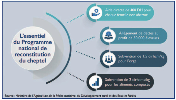 Aïd Al-Adha : La fièvre acheteuse retarde la reconstitution du cheptel [INTÉGRAL]