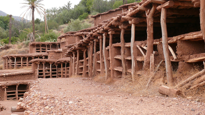 Agadir : À Inzerki, l’apiculture perpétue ses traditions