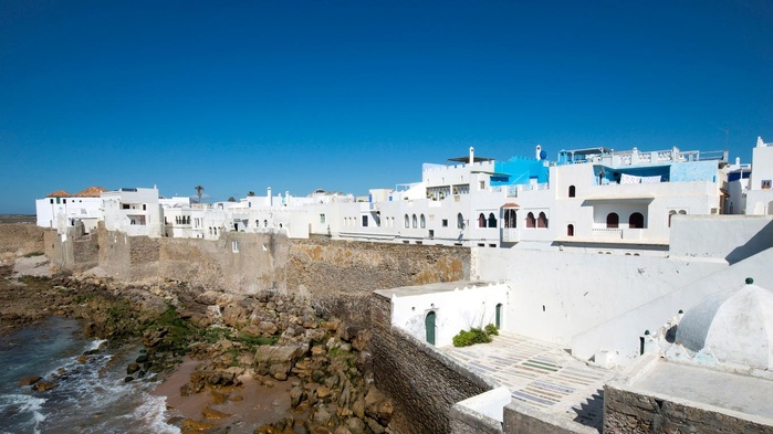 Rétro-Verso : Immersion dans l’héritage artistique du moussem d’Assilah Rétro-Verso : Immersion dans l’héritage artistique du moussem d’Assilah