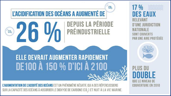 Protection des océans contre le plastique : Revue des acquis du Royaume lors de la conférence de Nice [INTÉGRAL]