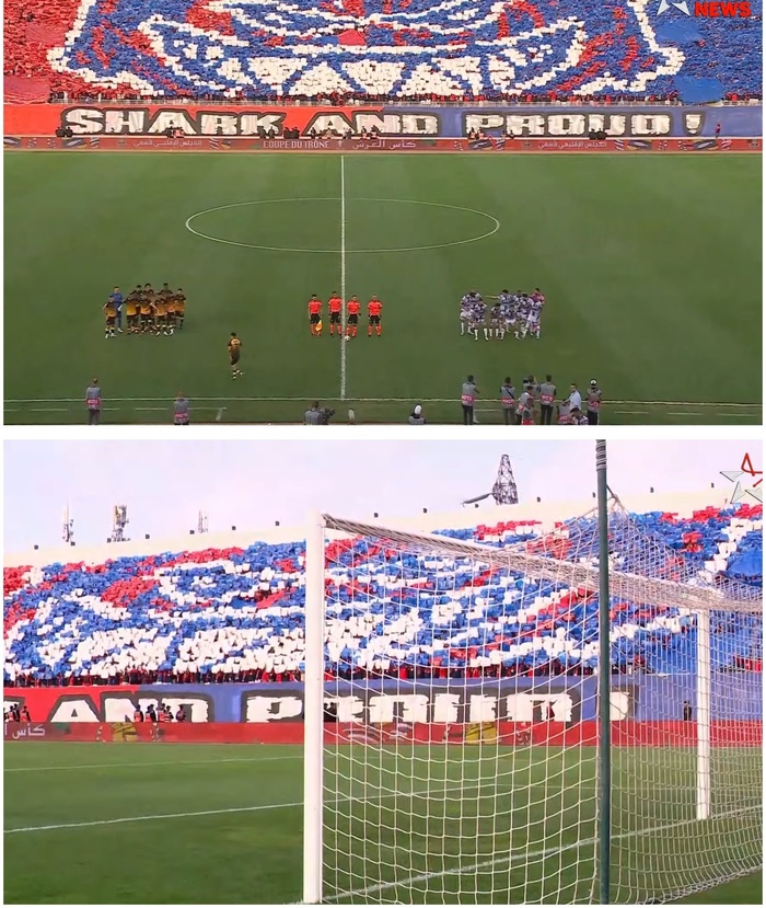 ''Requin et fier de l’être'' ! ''Requin et fier de l’être'' !