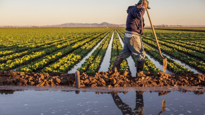 Tenue du 6ème Congrès de l'Union général des agriculteurs du Maroc sous le signe de la souveraineté alimentaire Tenue du 6ème Congrès de l'Union général des agriculteurs du Maroc sous le signe de la souveraineté alimentaire