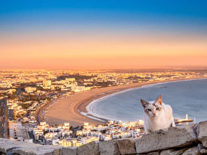 Agadir : Une structure inédite pour mettre un terme au chaos ambiant Agadir : Une structure inédite pour mettre un terme au chaos ambiant