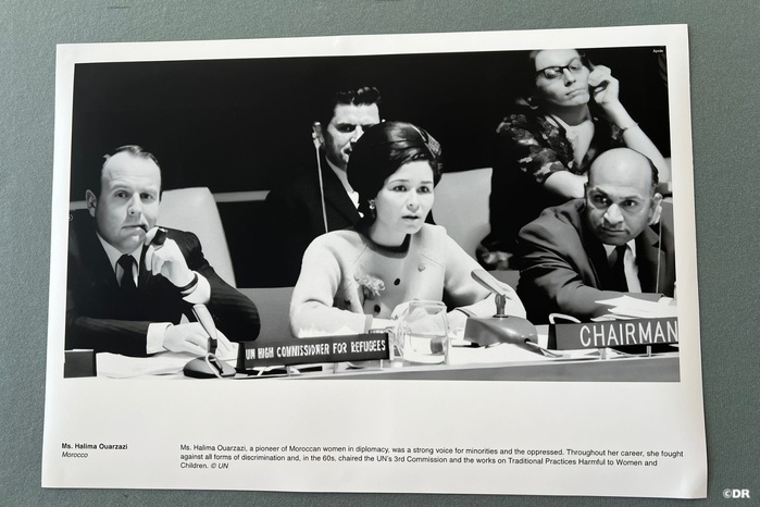 Au CDH, hommage à feue Halima Ouarzazi, doyenne des femmes diplomates africaines Au CDH, hommage à feue Halima Ouarzazi, doyenne des femmes diplomates africaines