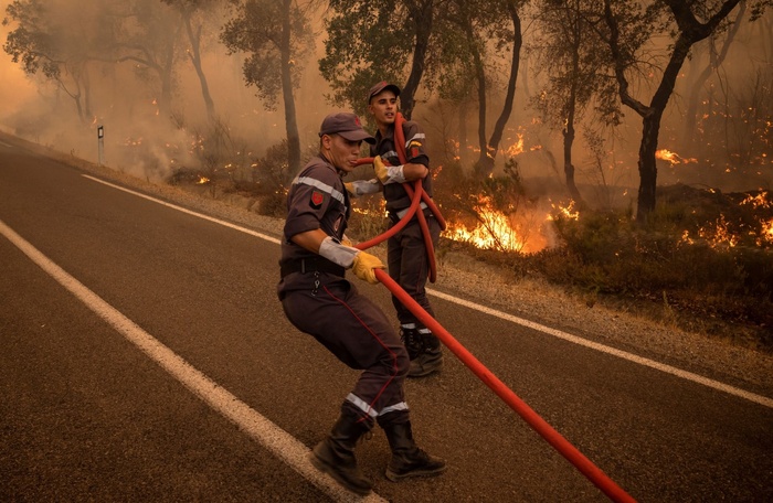 111 feux et 130 hectares brûlés depuis janvier. 111 feux et 130 hectares brûlés depuis janvier.