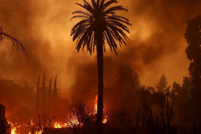 Chtouka-Aït-Baha: Plus de 6 Ha de palmiers ravagés par les flammes Chtouka-Aït-Baha: Plus de 6 Ha de palmiers ravagés par les flammes
