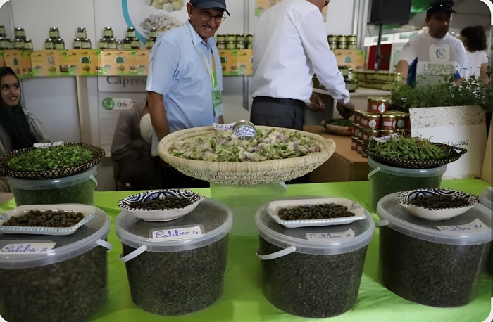 Safi : Coup d'évoi à la 7ème édition du Salon National du Câprier Safi : Coup d'évoi à la 7ème édition du Salon National du Câprier