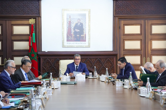 Les animaux errants au menu du prochain Conseil du Gouvernement Les animaux errants au menu du prochain Conseil du Gouvernement