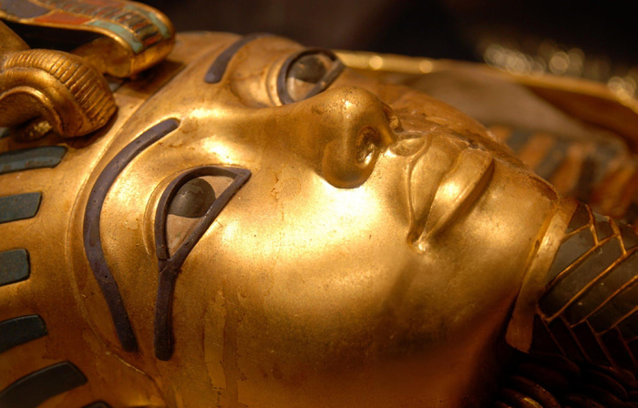 78% du génome de l’individu de Nuwayrat vient de populations marocaines. 78% du génome de l’individu de Nuwayrat vient de populations marocaines.