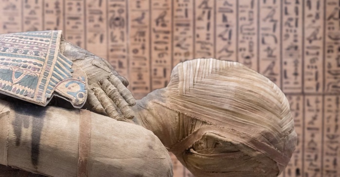 Découverte scientifique : Le lien révélé entre nos ancêtres et les pharaons [INTÉGRAL]