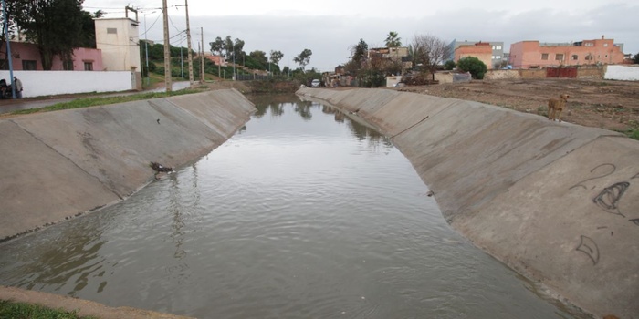 Photo: tous droits réservés. Photo: tous droits réservés.
