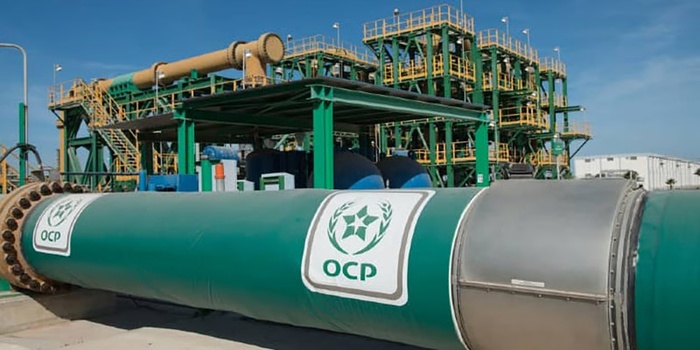 Secteur minier : Le Maroc au cœur de la sécurité alimentaire mondiale Secteur minier : Le Maroc au cœur de la sécurité alimentaire mondiale