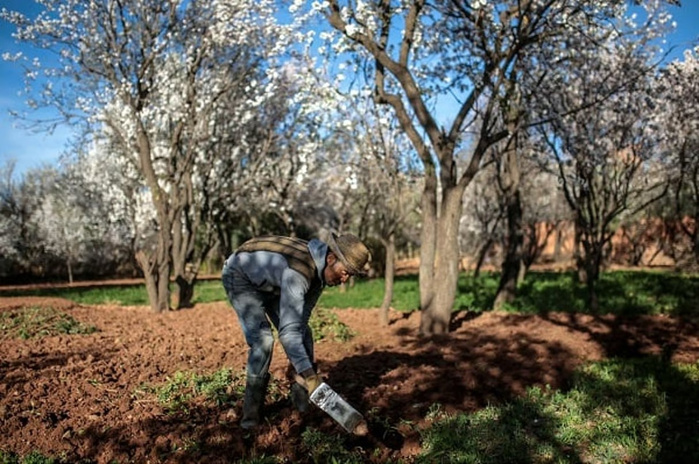 La BAD accorde 100 M€ au Maroc pour soutenir les femmes et les jeunes agriculteurs La BAD accorde 100 M€ au Maroc pour soutenir les femmes et les jeunes agriculteurs