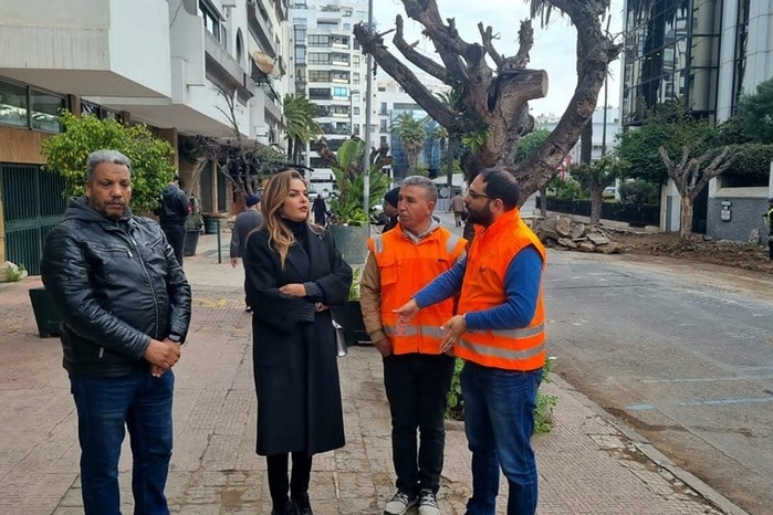 Photo: tous droits réservés. Photo: tous droits réservés.